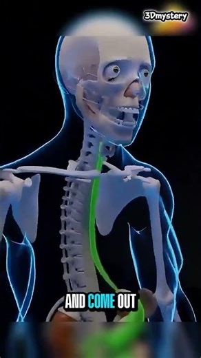 What Makes Us VOMIT So Suddenly?