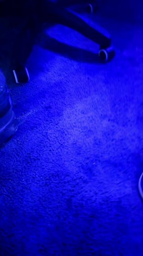 Jeffy long on TikTok