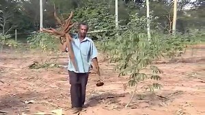 3.7M views · 12K reactions | Grandes inventores rurais | Mundo Do Cowboy | Facebook