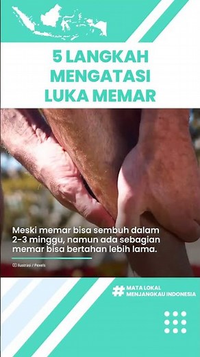 5 Langkah Atasi Luka Memar dan Bengkak akibat Jatuh Tanpa Obat: Kompres Es & Oleskan Gel Lidah Buaya