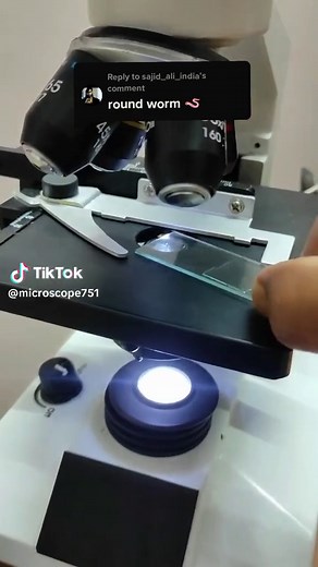Replying to @sajid_ali_india #roundworms microscope scanning virus or protein #reels #viral #shorts #technology #FYP #fypシ #Microscopes #Scanner #MarkZuckerberg #Food #virus #usa