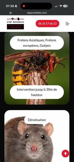 Création de site web avec reprise de contenu depuis Wix