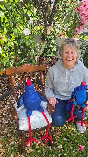 Our fantastic Nattering Knitter Jane has made a bigger pukeko for our santa parade . Knittastic. | The Nattering Knitter