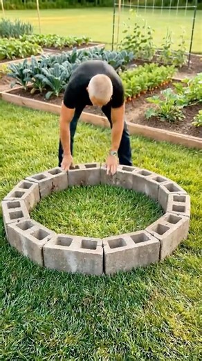 Grow Your Own Food at Home Easy Garden DIY! 🥬🥬🥬