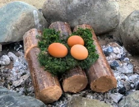 2.9M views · 4.5K reactions | Awesome outdoor cooking ideas & hacks! | 5-Minute Crafts | Facebook