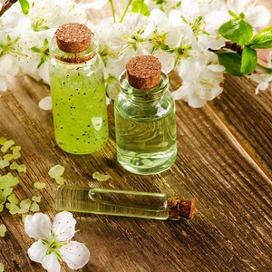 Abzu Concert & Tour History  | Concert Archives