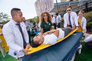 IPE transitions-of-care simulation helps USF Health students train as teams - USF Health News