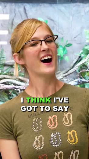 12K views · 308 reactions | Emily From Snake Discovery’s Favorite Reptile! #reptiles #shorts | Wickens Wicked Reptiles | Facebook