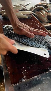 Mojarra | Carlos Ojeda 2.0