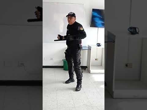 Handling and use of the Tonfa (PR-24)