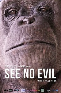 See No Evil - Where to Watch