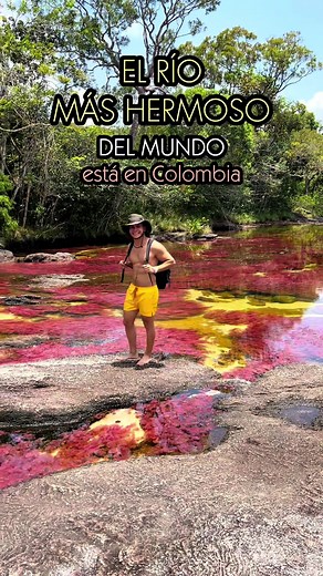 Descubre la Belleza de Caño Cristales en Colombia