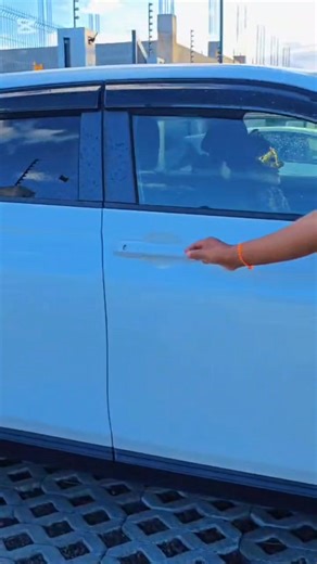 ALERT!! Mrs Leopard in showroom!! | Express Auto