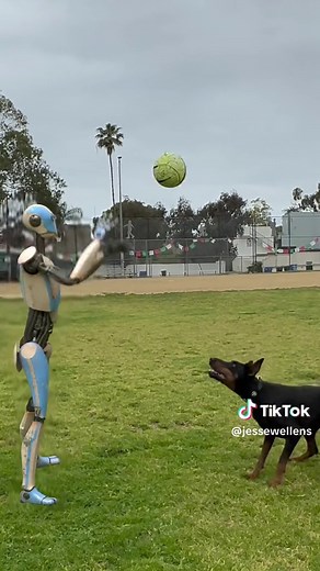 I need one of these to walk my dog. AI-Robot dog walker.