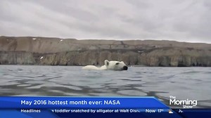 May 2016 hottest month ever recorded: NASA