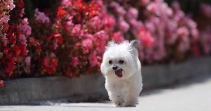 143K views · 10K reactions | smile all year long....with my Norbert...