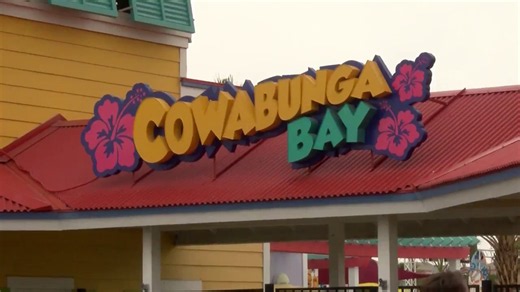 Carjacking crash ending at Cowabunga Bay is latest incident to hit popular family venue
