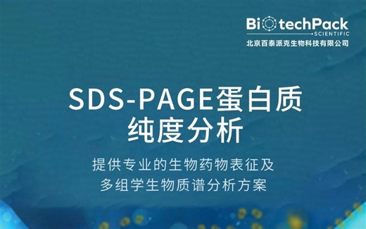 百泰派克生物科技：SDS-PAGE蛋白质纯度分析