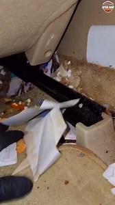 TRASHED Car Gets Detail Transformation! Amazing Results! | Classic American Cars