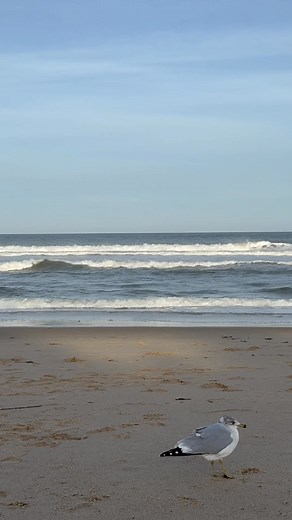 Marconi Beach - Wellfleet, Massachusetts - Cape Cod - October 2025 | Cape Cod, Massachusetts