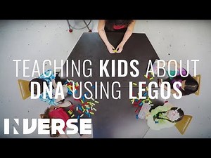 A Neuroscientist Tries To Teach Kids About DNA Using Legos | Inverse