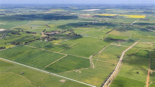 Victorian dairy, sheep farm tipped to fetch $21.5m offers combined
