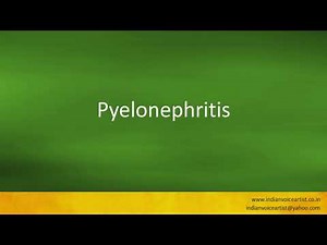 Pronunciation of the word(s) "Pyelonephritis".