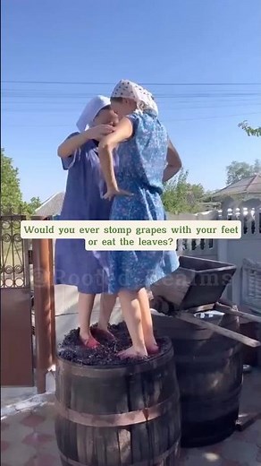 Why People Still Stomp Grapes with Their Feet ? #grape