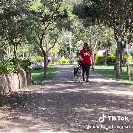 Cuentas recomendadas