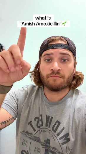 Understanding Amish Amoxicillin: Essential Home Remedy Guide