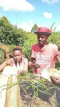 New method of rearing rabbits