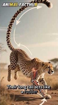 5 Amazing Facts About Cheetah #animalfacts #animallife #animation #animalknowledge #cheetah #ytshort