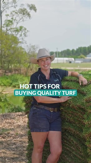 Think cheap turf saves you money? Think again. Quality turf = real value. Look for weed-free, pest-free, uniform grass that’s freshly cut-not something that’s been sitting on a pallet for days. Because relaying your lawn isn’t in your budget. Follow for more lawn care tips ✅ #turf #home #lawn #lawntips #lawncare #turftips