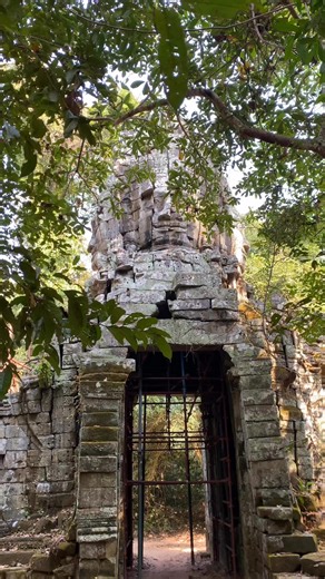 Here is the North Gate of Ta Prohm Temple. It looks amazing—please come and visit to learn more about this great architecture. | Angkor History & Culture