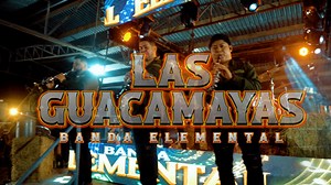 Las Guacamayas - Banda Elemental (Video Oficial) | Banda Elemental