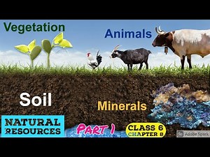 Natural Resources Class 6 Chapter 8 | Geography Maharashtra state Board | Part 1 | Veena Iyer