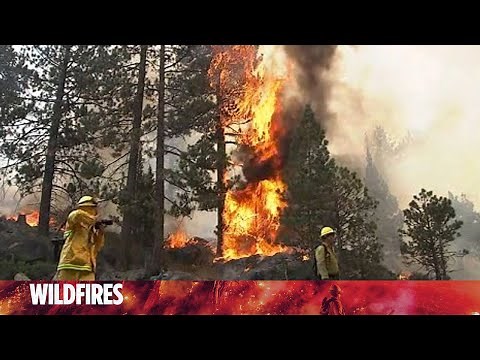 Why scientists want to fight California fires with more fires