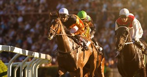 Memphasys achieves quality certification for medical devices and diagnostics