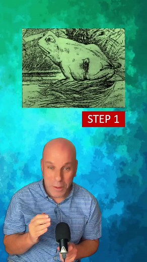 Horse and Frog Optical Illusion Revealed