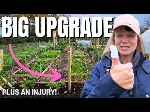 DIY Simple Raspberry Support Frame | 2026 Season Head Start