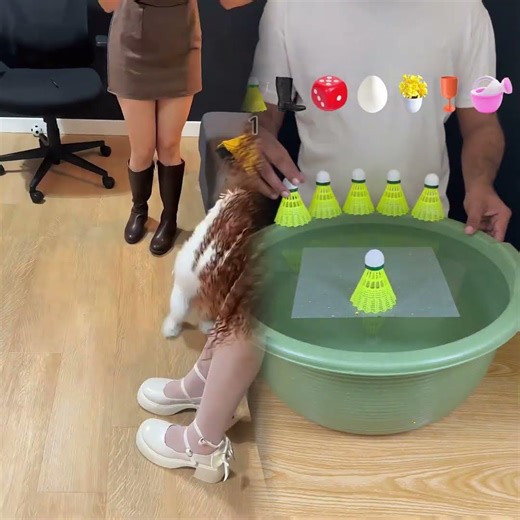 My Experience Celebrating Halloween with my