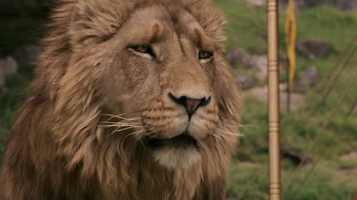 Do Not Cite the Deep Magic to Me, Witch | Know Your Meme