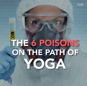 103K views · 209 reactions | What is the positive yogic path to...