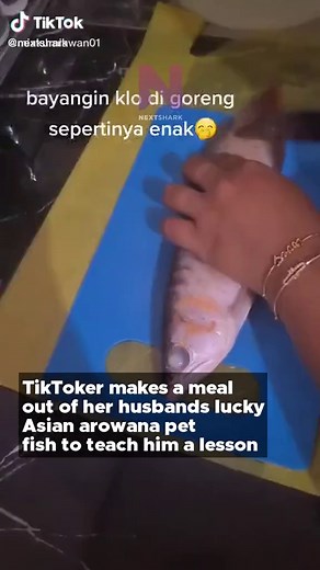 Wife Cooks Husband's Arowana as a Lesson | Arowana Fish Recipe
