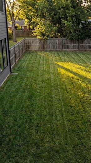 Exclusión en la boda: Problemas no resueltos