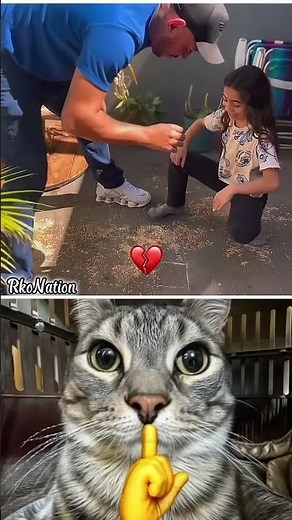 #nivetadhingramusic 🤣