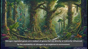 Nitrogen regulated genes in biology