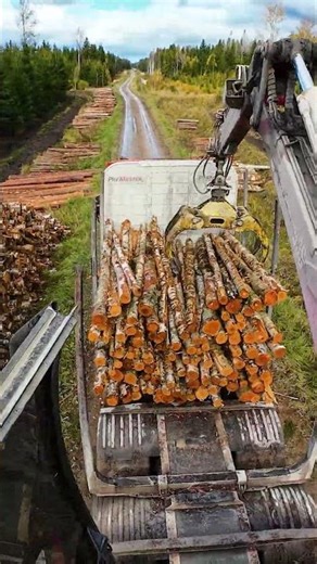 Pulpwood Loading Short Version #lumberjacks #logging