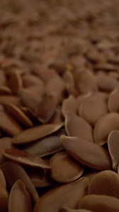 What You Should Know About Linseed Oil