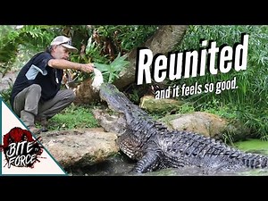 Great alligator reunion! And Gatorama surprise?!